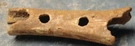Neandertal